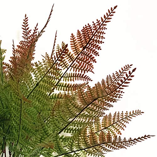 CATTREE Artificial Fern Shrubs, Plastic Bushes Grass Leaves Fake Plants Wedding Indoor Outdoor Home Garden Verandah Kitchen Office Table Centerpieces Arrangements DIY Christmas Decoration 4 pcs - color: Red Fern Grass 4pcs