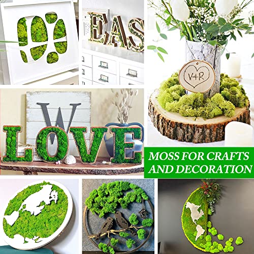 Preserved Reindeer Moss, 7 oz Green Decorative Craft Moss for Potted Plants, Fairy Gardens, DIY Wall Art, Floral Arrangements, Christmas Easter Wedding Holiday Decor - color: Green, size: 7 OZ