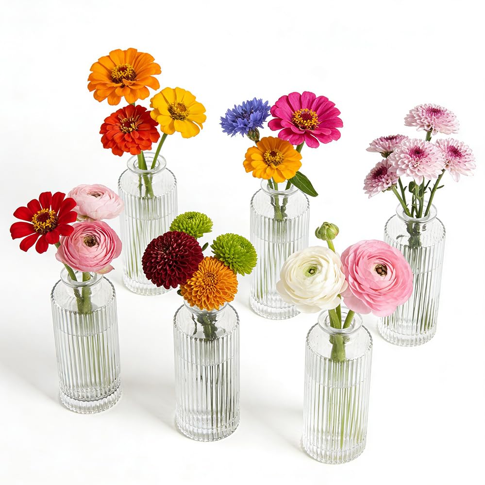 6 Pack Glass Bud Vase Set, Small Flower Vase Set Bud Vases for Wedding Centerpiece Table Decor, Vintage Small Vases for Room Home Dining Party Table Center Decor (Clear Set, 6 Pack) - color: Clear Set, size: 6 Pack
