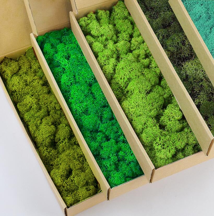 Preserved Reindeer Moss Natural Green DIY Kit Gardenning Art Wall Decor Florist Decor Easter Table Decor Wedding - color: Color Mix-Green-(03+04+06+10+11), size: 1 lb