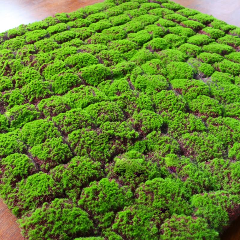 Artificial Moss Mat 1x1m(3.2x3.2ft) DIY Fake Moss for Art Wall Florist Decor Balcony Deck Patio Backyard Indoor Outdoor Decor - color: Green1