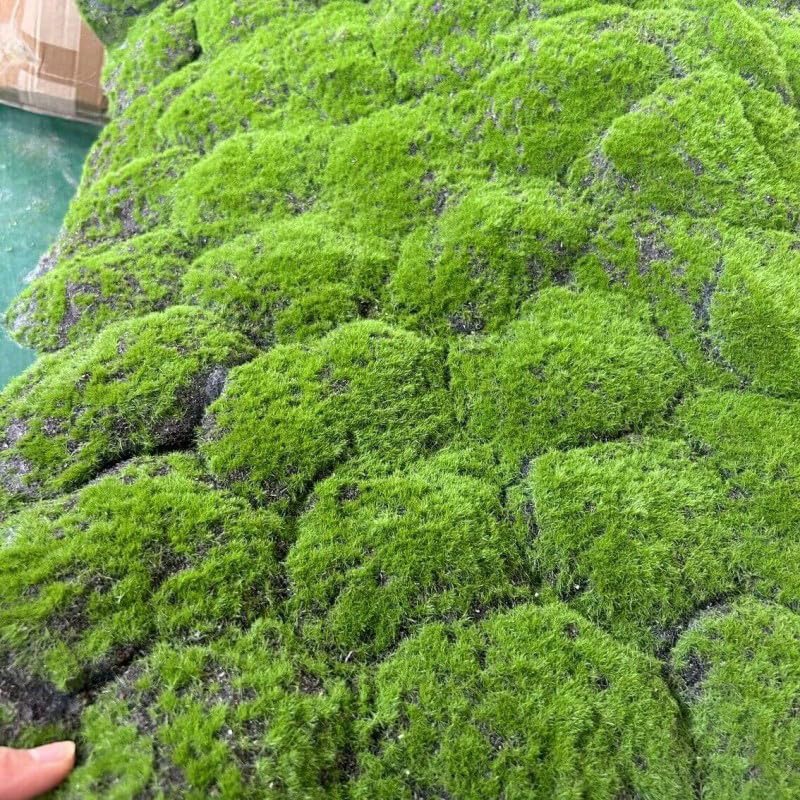 Artificial Moss Mat 1x1m(3.2x3.2ft) DIY Fake Moss for Art Wall Florist Decor Balcony Deck Patio Backyard Indoor Outdoor Decor - color: Green1