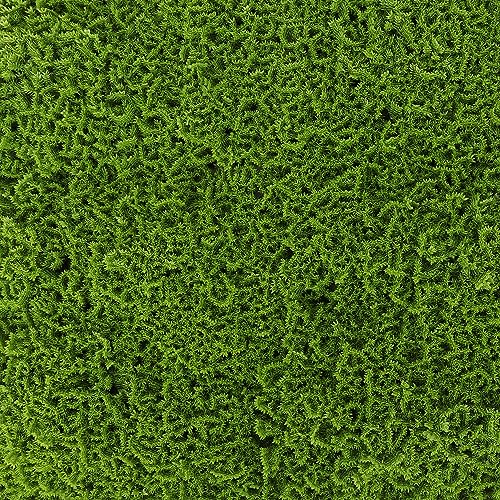3rd Street Inn Artificial Greenery Wall Panels for Privacy - 4-Pack - color: Moss