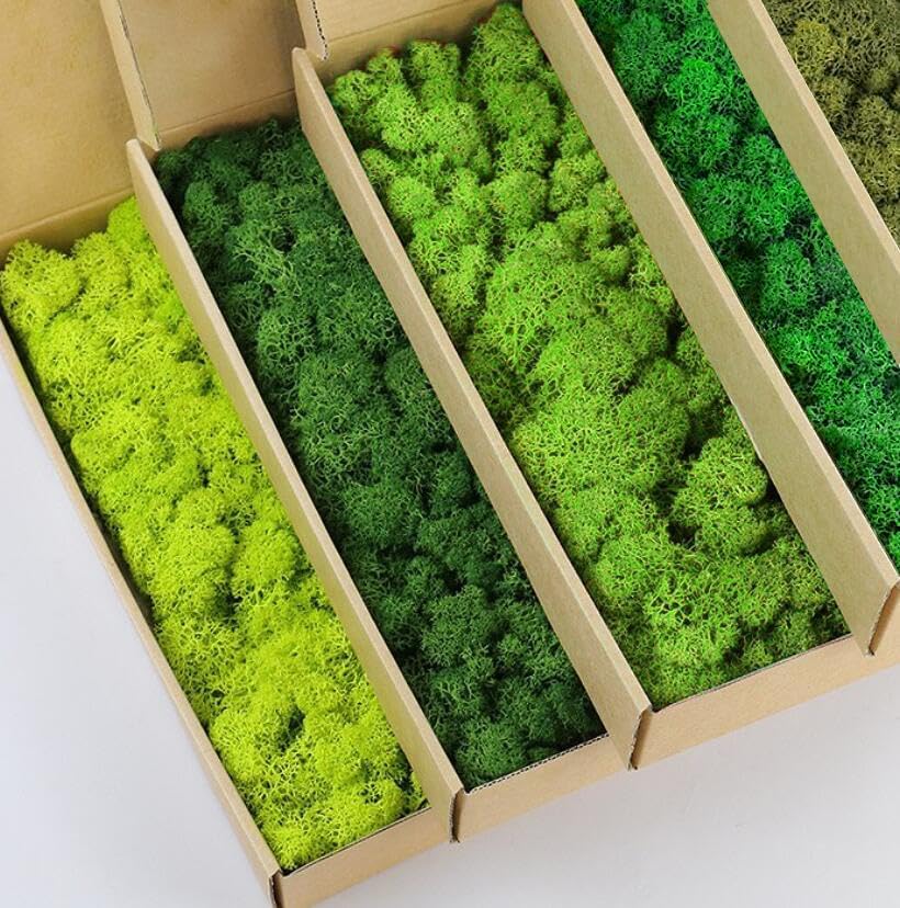 Preserved Reindeer Moss Natural Green DIY Kit Gardenning Art Wall Decor Florist Decor Easter Table Decor Wedding - color: Color Mix-Green-(01+02+03+04+11), size: 1 lb